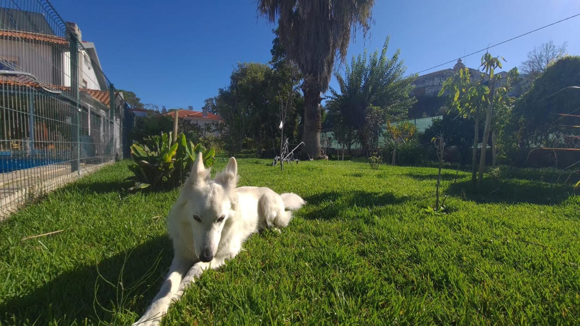 Hostel Jardins De Sao Luis เซตุบาล ภายนอก รูปภาพ
