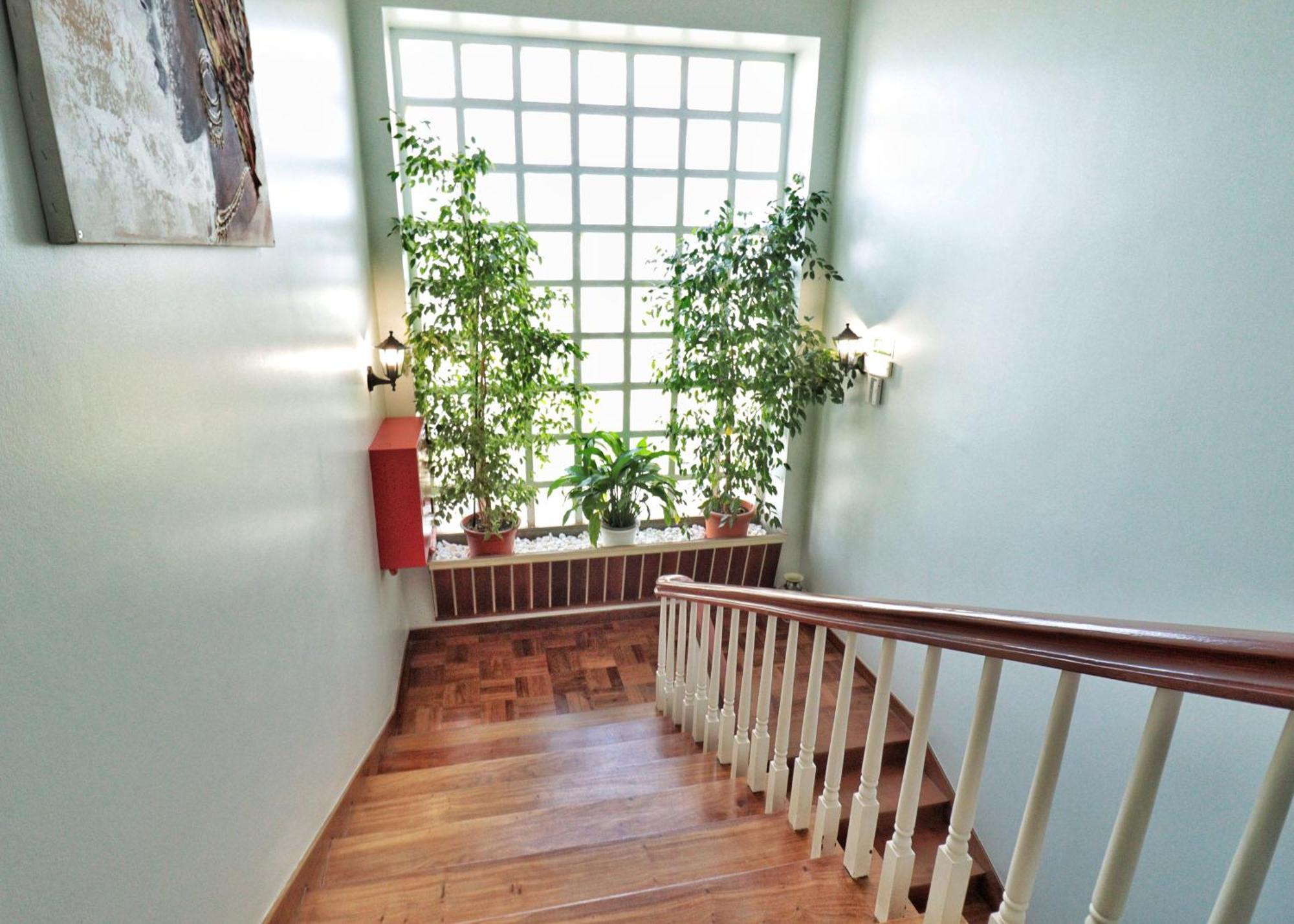 Hostel Jardins De Sao Luis เซตุบาล ภายนอก รูปภาพ